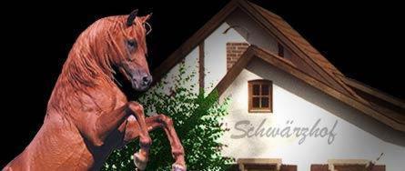 Landhotel Schwaerzhof Κούλμμπαχ Εξωτερικό φωτογραφία